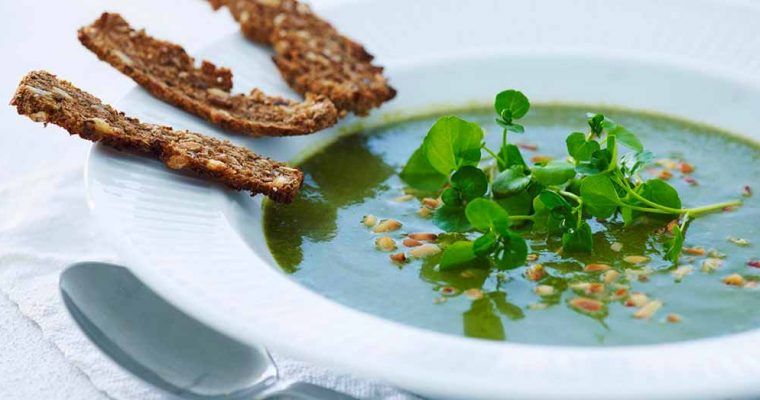 Spicy spinatsuppe med rugbrødschips