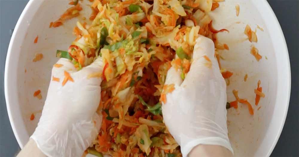 opskrift hjemmelavet kimchi antiinflammatorisk